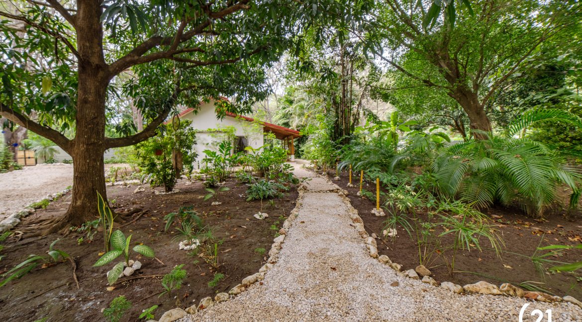 C21 Nosara Casa Mimosa-32
