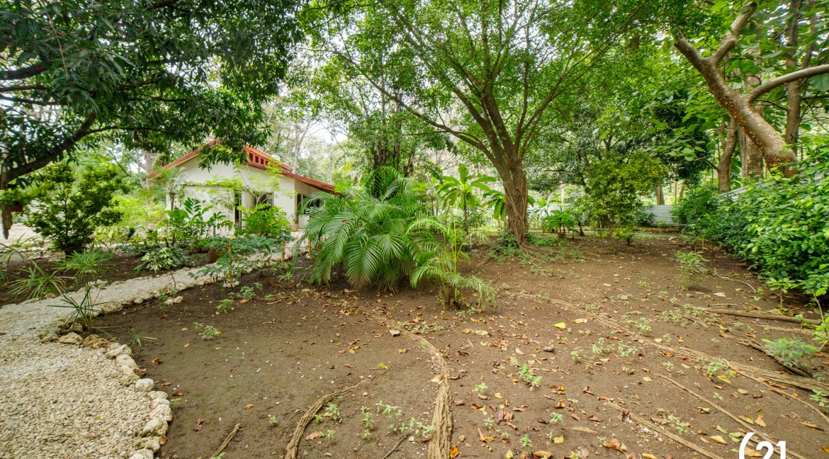 C21 Nosara Casa Mimosa-33