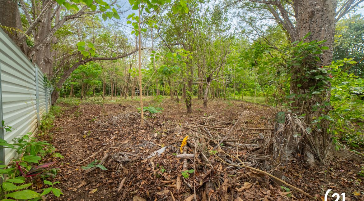 C21 Nosara Casa Mimosa-36