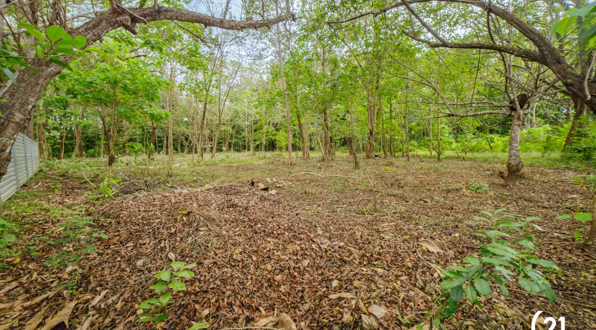 C21 Nosara Casa Mimosa-37