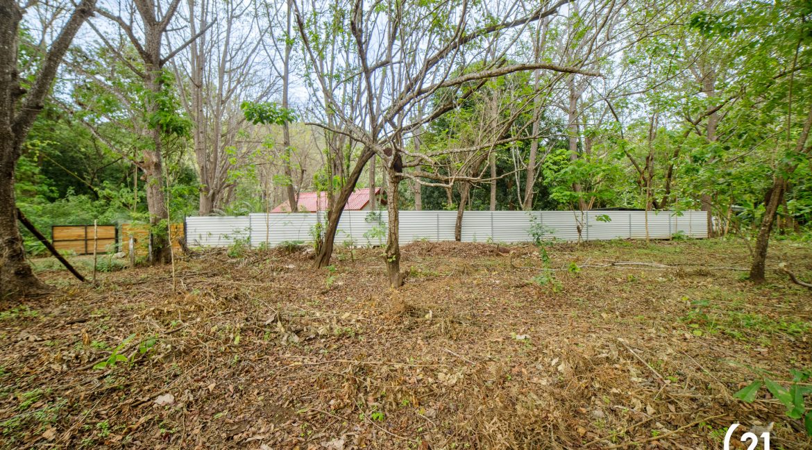 C21 Nosara Casa Mimosa-38