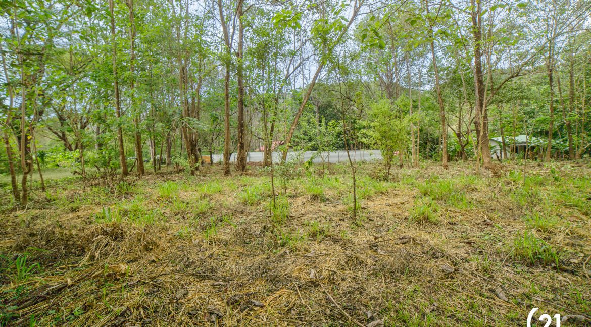 C21 Nosara Casa Mimosa-39