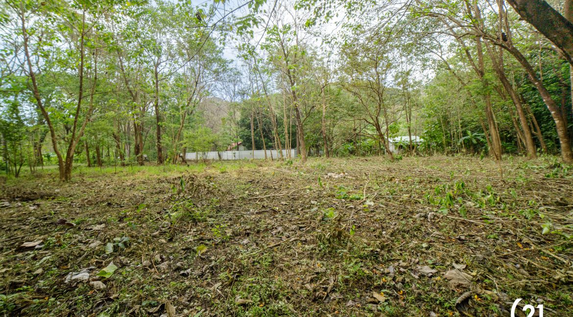 C21 Nosara Casa Mimosa-40