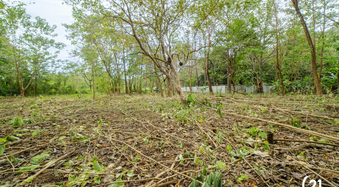 C21 Nosara Casa Mimosa-41