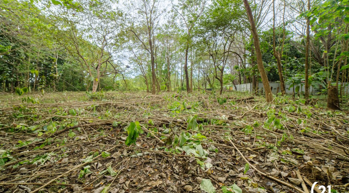 C21 Nosara Casa Mimosa-42