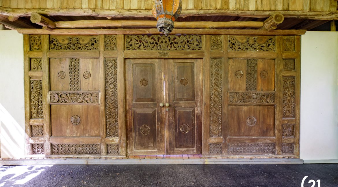 C21 Nosara Dreamland-43