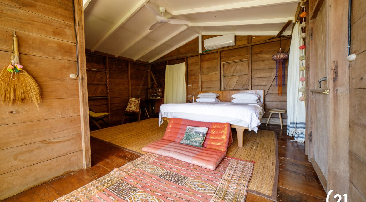 C21 Nosara Dreamland-45