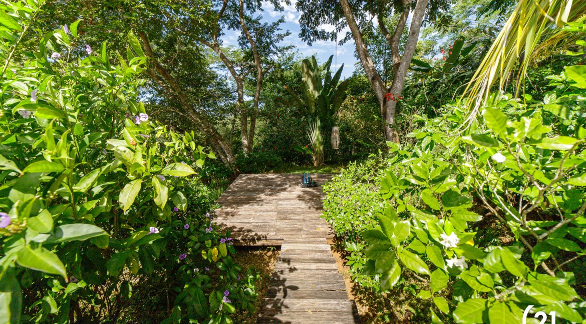 C21 Nosara Dreamland-48