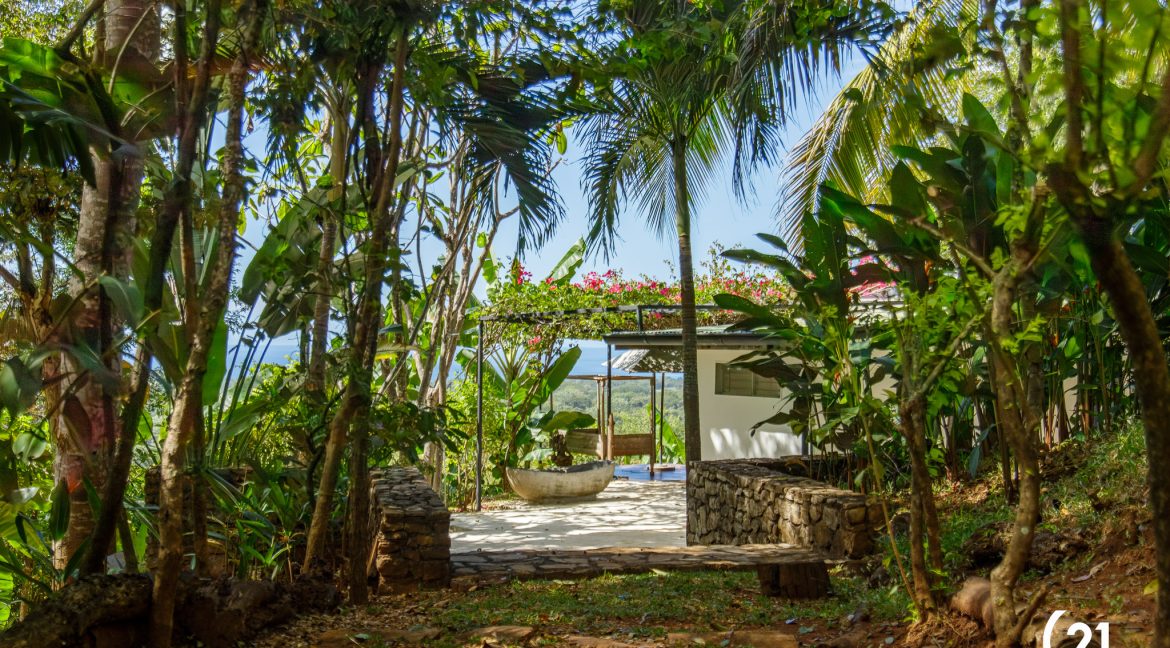 C21 Nosara Dreamland-57