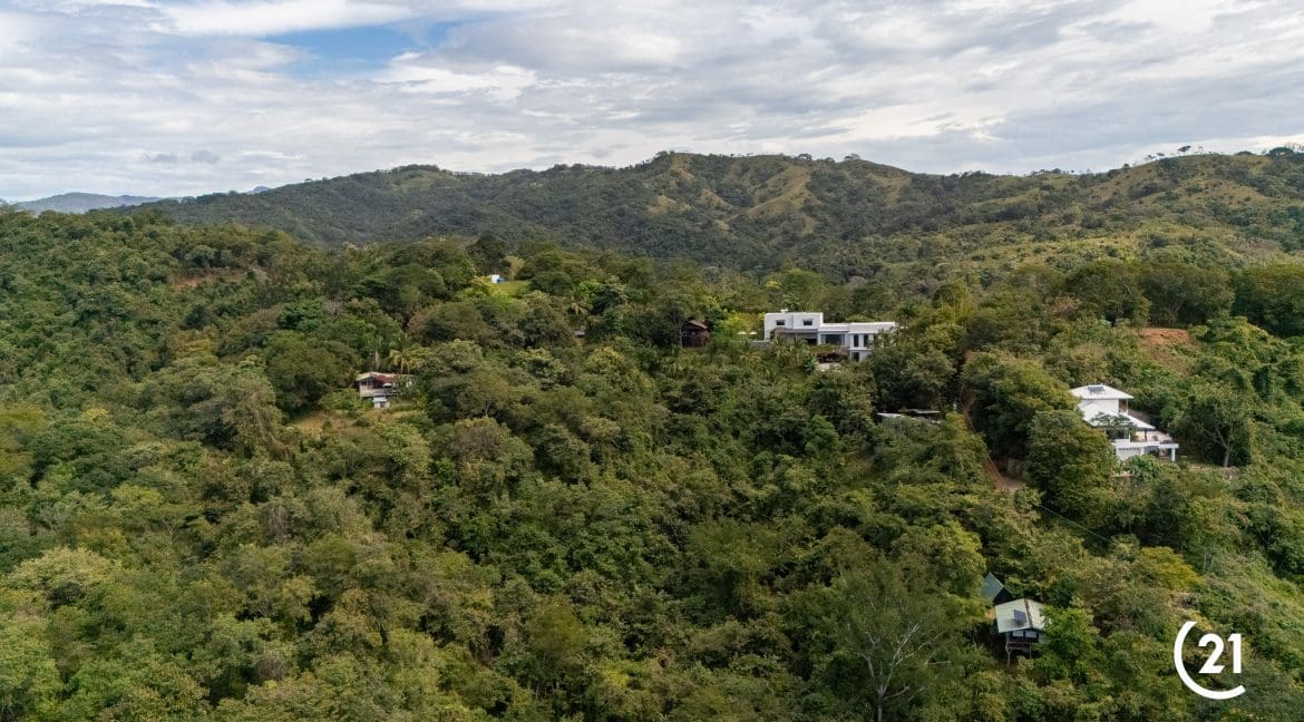 C21 Nosara Dreamland-76