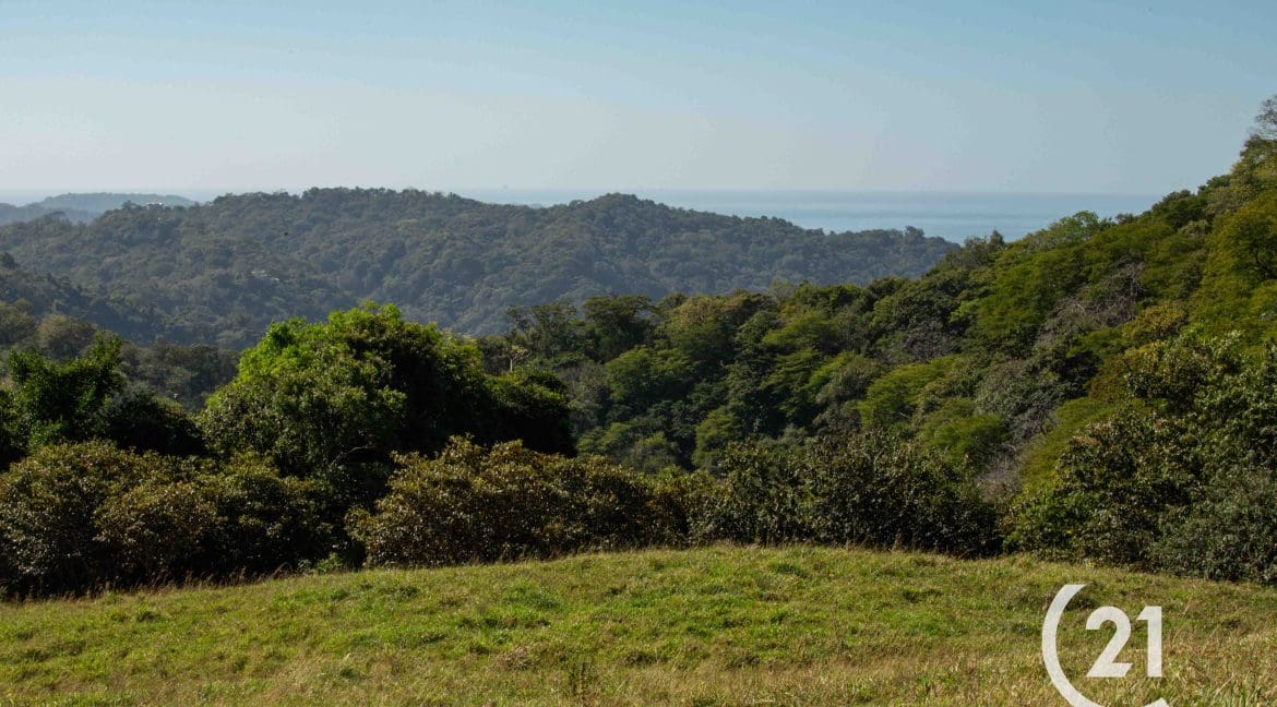 Finca Rio Montaña-Century 21-Nosara-Allan Monestel-Real Estate-Agent-Nosara-Playa Guiones-Playa Pelada-Guanacaste-Costa Rica-Bienes Raices- Real Estate- For Sale-11