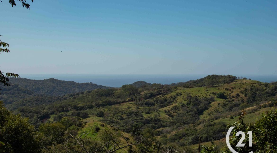 Finca Rio Montaña-Century 21-Nosara-Allan Monestel-Real Estate-Agent-Nosara-Playa Guiones-Playa Pelada-Guanacaste-Costa Rica-Bienes Raices- Real Estate- For Sale-12