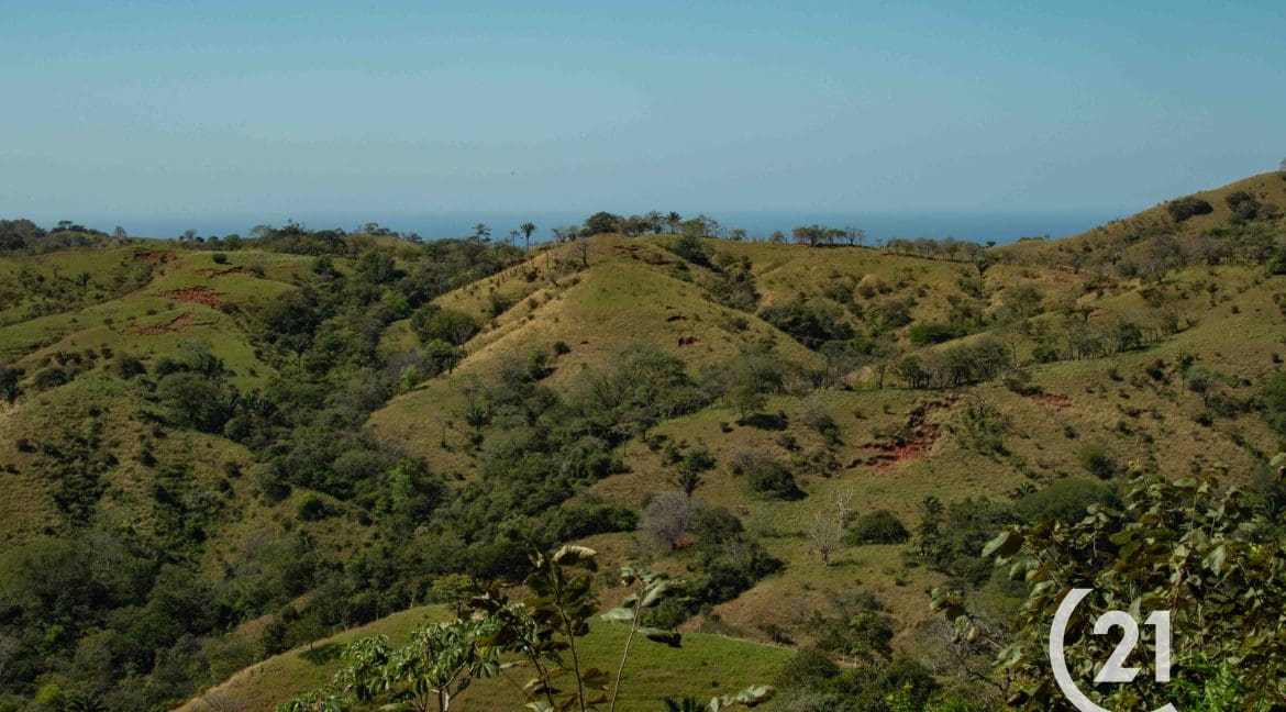 Finca Rio Montaña-Century 21-Nosara-Allan Monestel-Real Estate-Agent-Nosara-Playa Guiones-Playa Pelada-Guanacaste-Costa Rica-Bienes Raices- Real Estate- For Sale-13