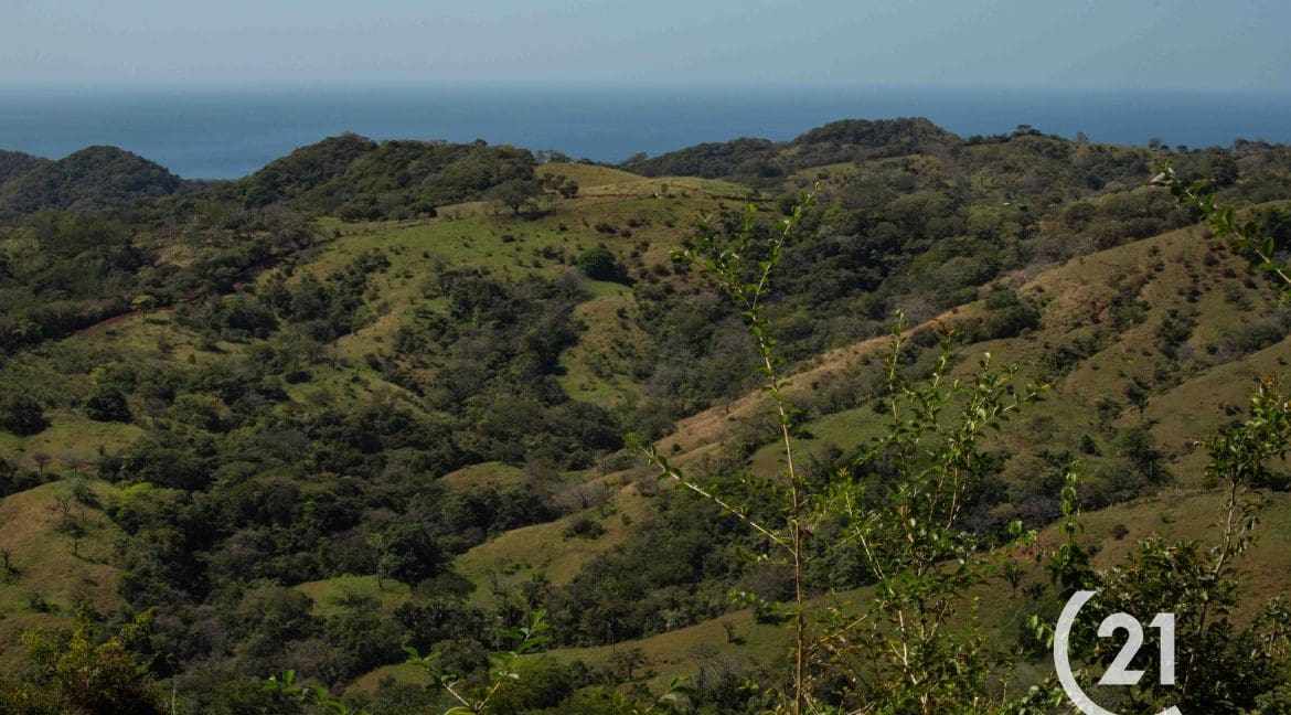 Finca Rio Montaña-Century 21-Nosara-Allan Monestel-Real Estate-Agent-Nosara-Playa Guiones-Playa Pelada-Guanacaste-Costa Rica-Bienes Raices- Real Estate- For Sale-15