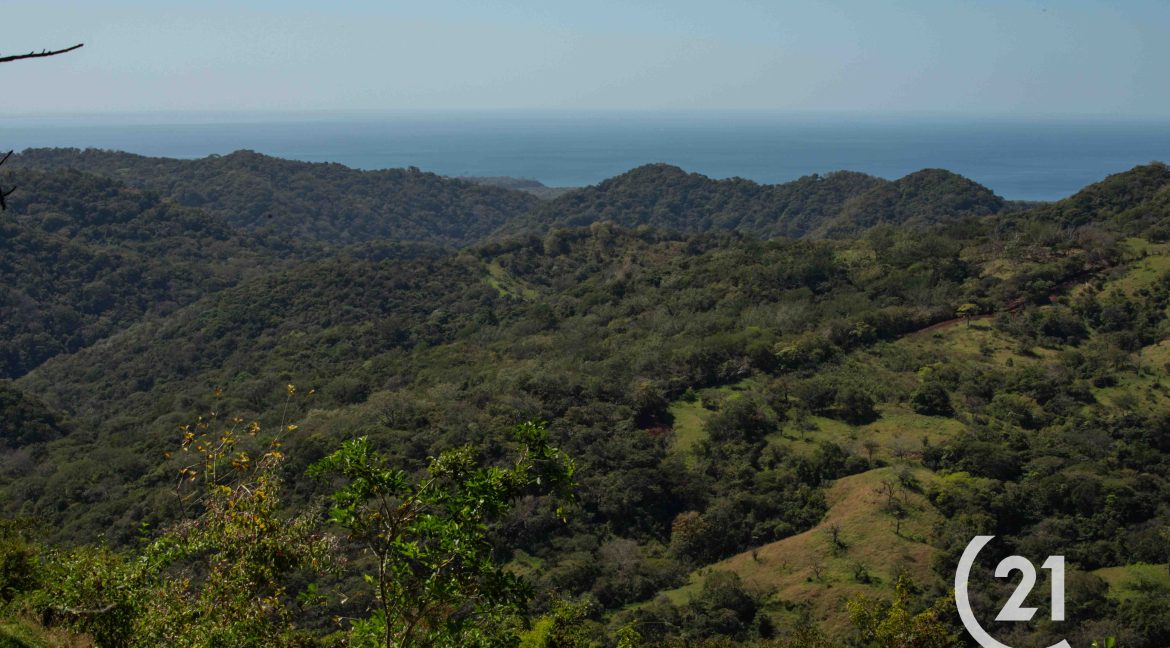 Finca Rio Montaña-Century 21-Nosara-Allan Monestel-Real Estate-Agent-Nosara-Playa Guiones-Playa Pelada-Guanacaste-Costa Rica-Bienes Raices- Real Estate- For Sale-16
