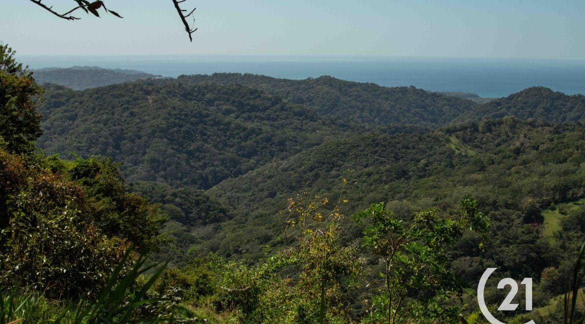 Finca Rio Montaña-Century 21-Nosara-Allan Monestel-Real Estate-Agent-Nosara-Playa Guiones-Playa Pelada-Guanacaste-Costa Rica-Bienes Raices- Real Estate- For Sale-17