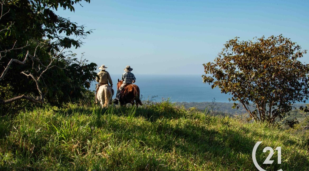 Finca Rio Montaña-Century 21-Nosara-Allan Monestel-Real Estate-Agent-Nosara-Playa Guiones-Playa Pelada-Guanacaste-Costa Rica-Bienes Raices- Real Estate- For Sale-2