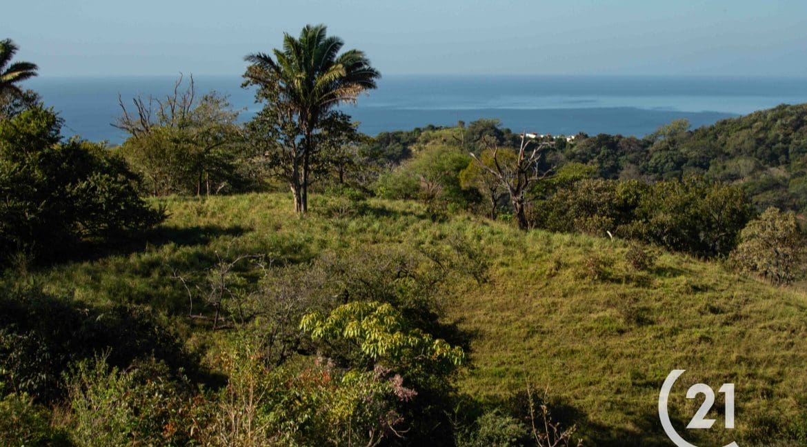 Finca Rio Montaña-Century 21-Nosara-Allan Monestel-Real Estate-Agent-Nosara-Playa Guiones-Playa Pelada-Guanacaste-Costa Rica-Bienes Raices- Real Estate- For Sale-4