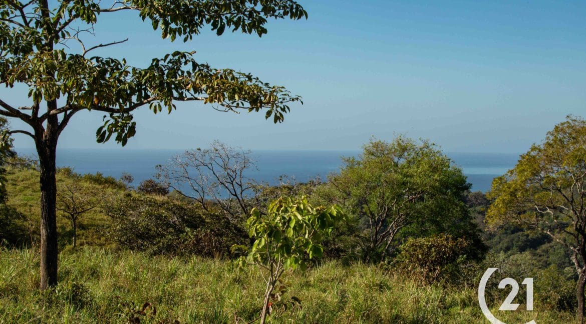 Finca Rio Montaña-Century 21-Nosara-Allan Monestel-Real Estate-Agent-Nosara-Playa Guiones-Playa Pelada-Guanacaste-Costa Rica-Bienes Raices- Real Estate- For Sale-5
