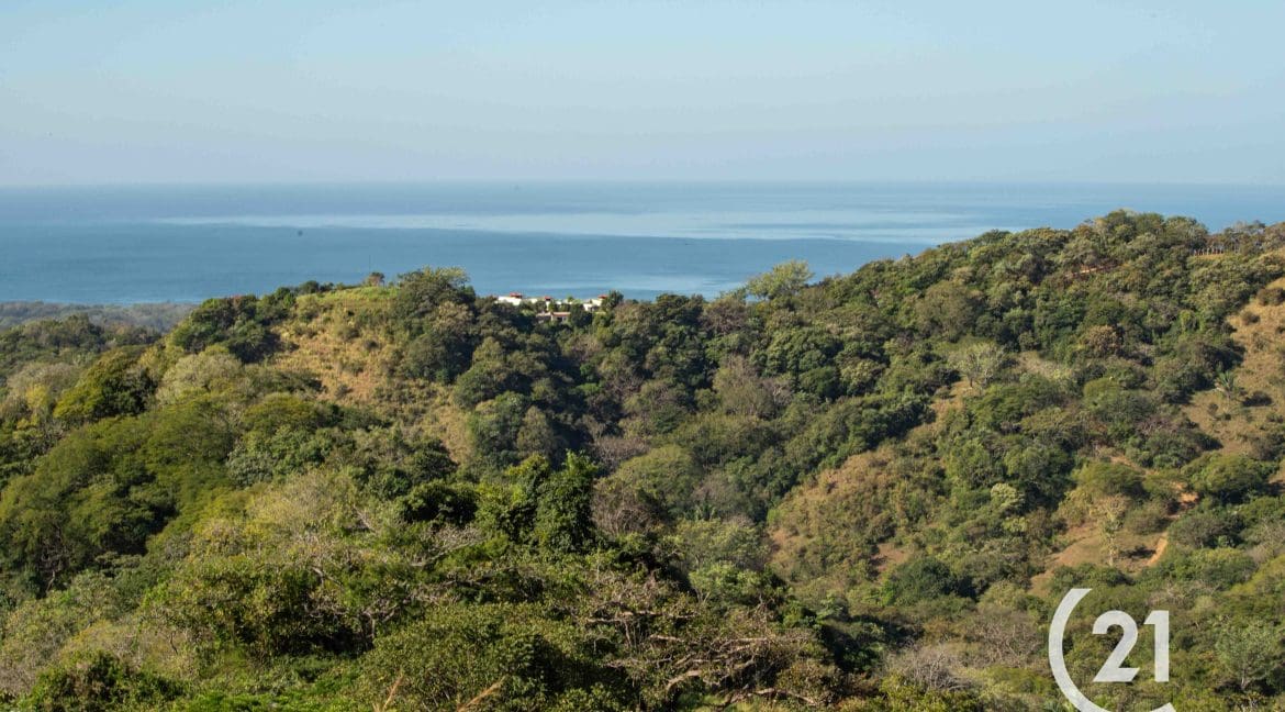 Finca Rio Montaña-Century 21-Nosara-Allan Monestel-Real Estate-Agent-Nosara-Playa Guiones-Playa Pelada-Guanacaste-Costa Rica-Bienes Raices- Real Estate- For Sale-7