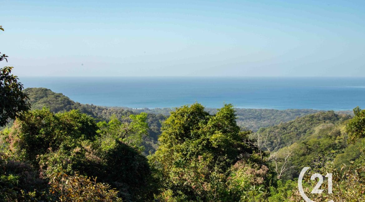 Finca Rio Montaña-Century 21-Nosara-Allan Monestel-Real Estate-Agent-Nosara-Playa Guiones-Playa Pelada-Guanacaste-Costa Rica-Bienes Raices- Real Estate- For Sale-8