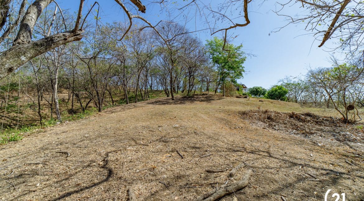 C21 Nosara Lote 12 Ostional-03