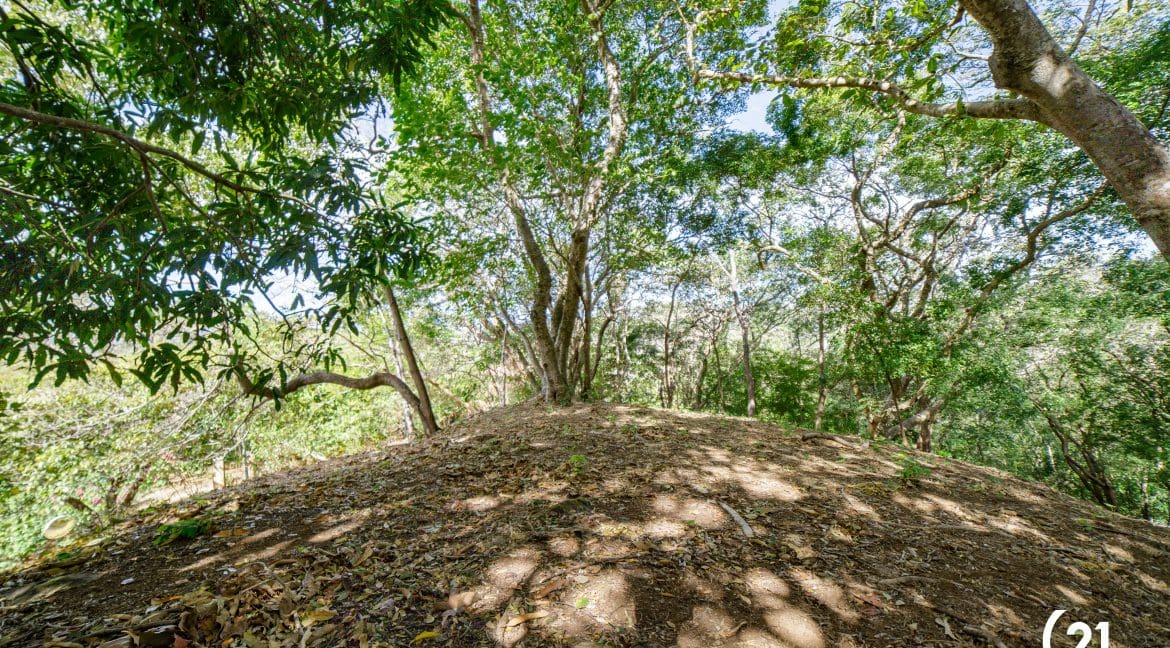 C21 Nosara Lote 3 BV-01