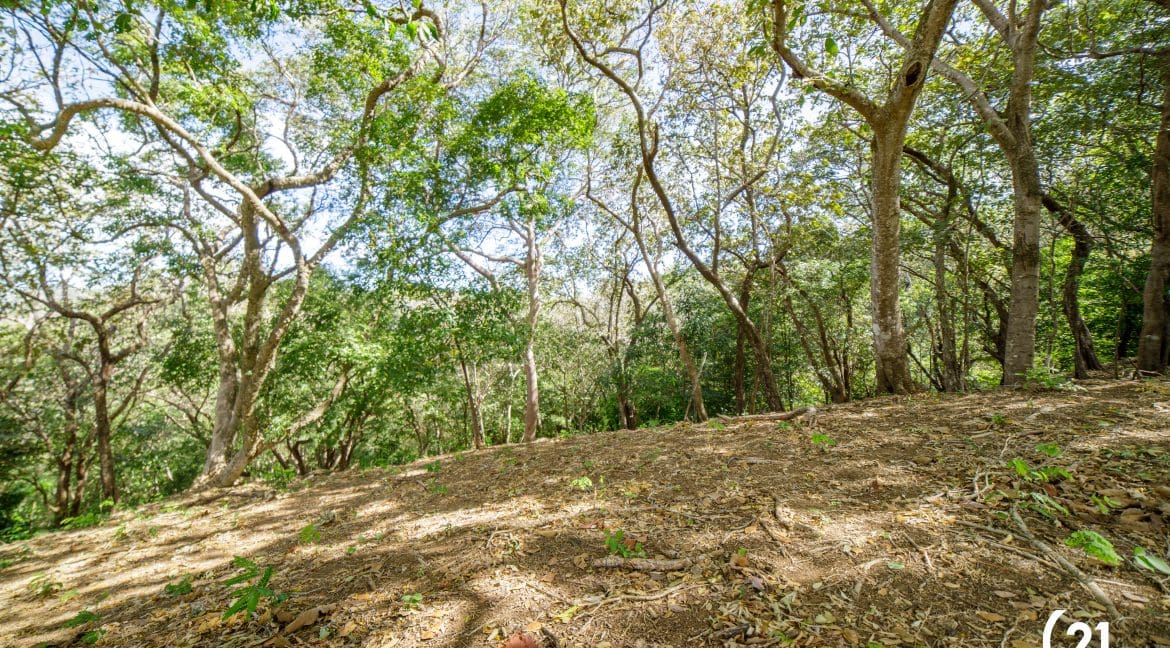 C21 Nosara Lote 3 BV-03