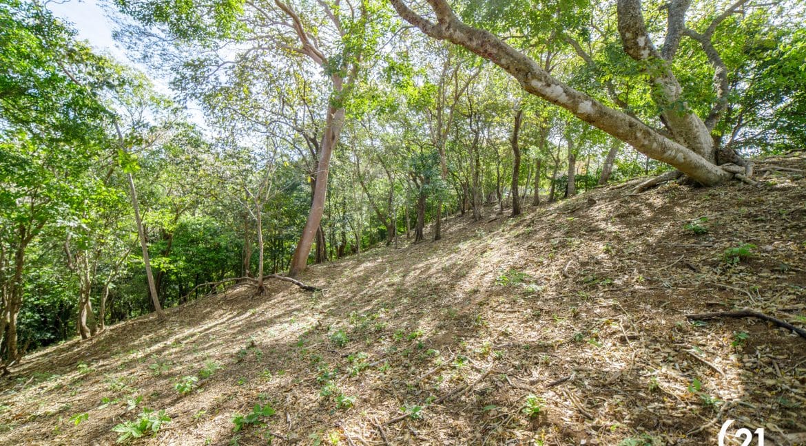 C21 Nosara Lote 3 BV-05