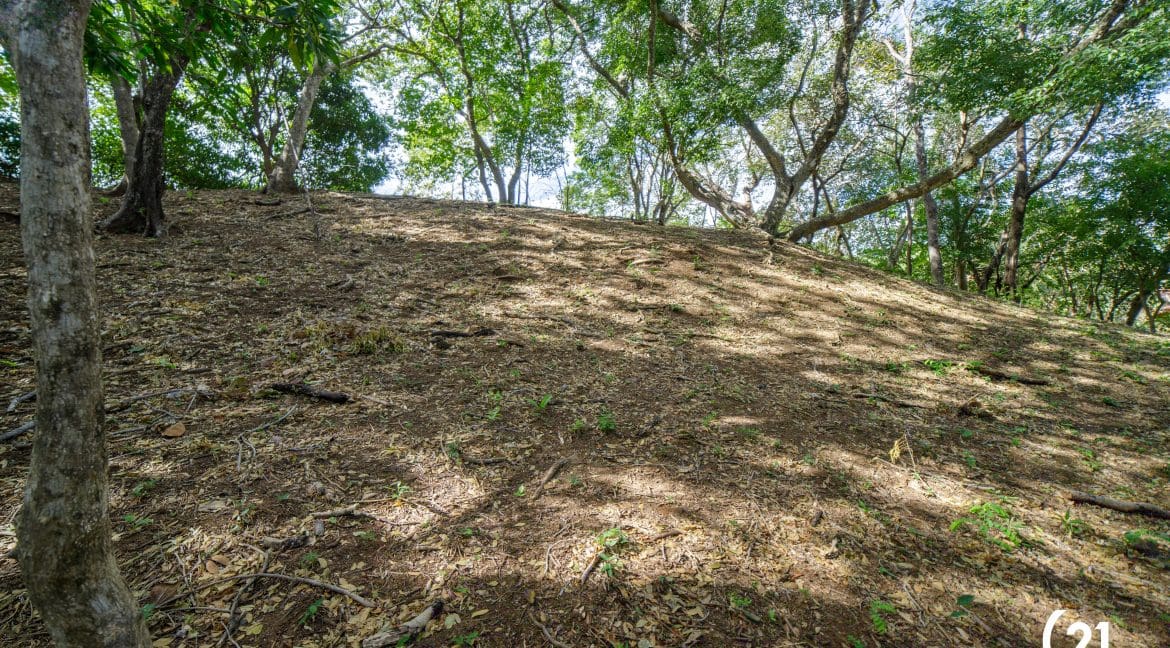 C21 Nosara Lote 3 BV-06