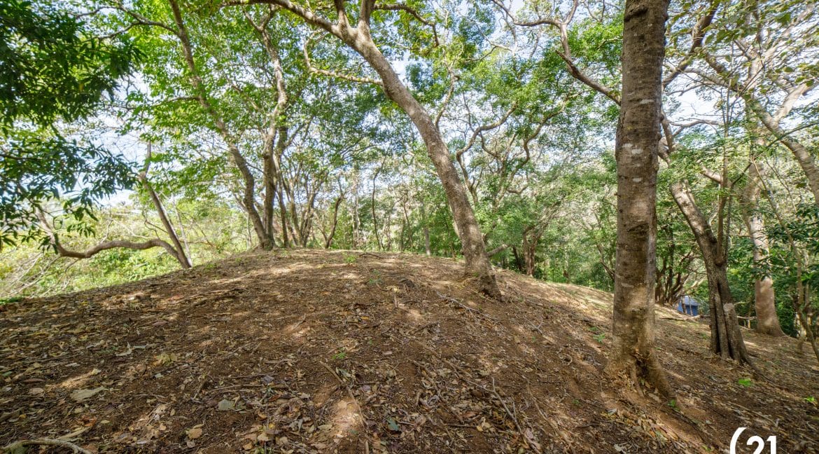 C21 Nosara Lote 3 BV-09