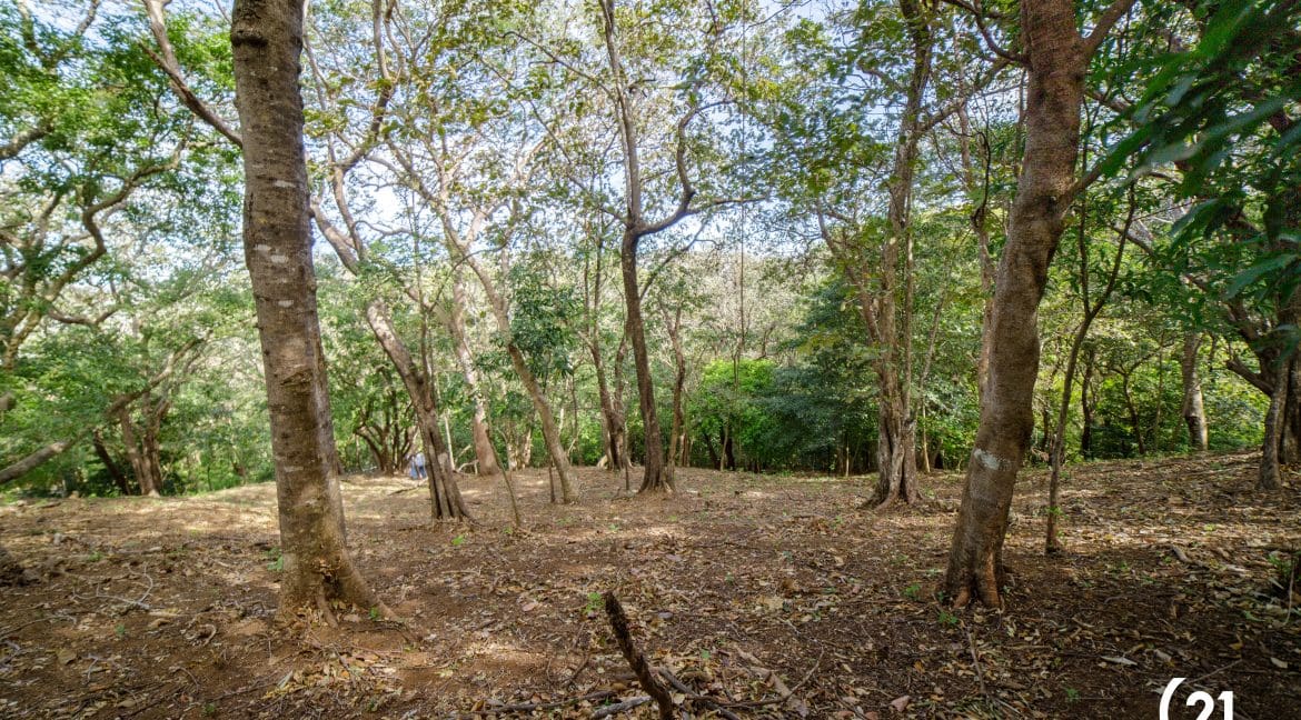 C21 Nosara Lote 3 BV-10