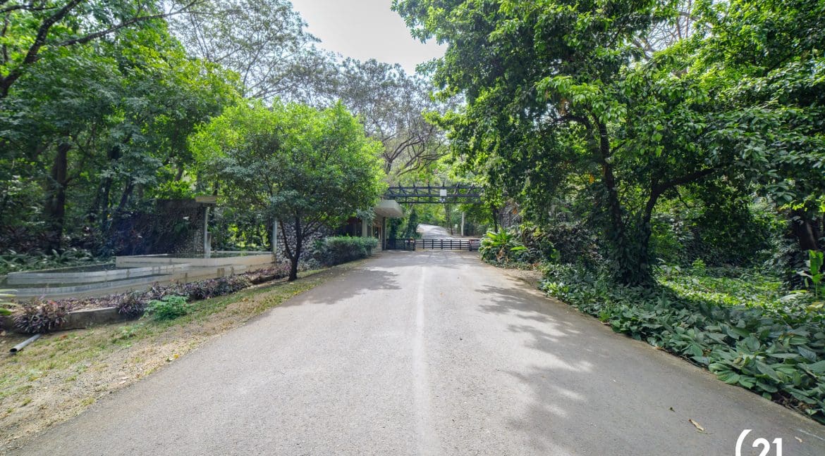 C21 Nosara Lote 51 BV-08