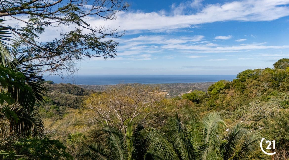 C21 Nosara Lote 51 BV-13