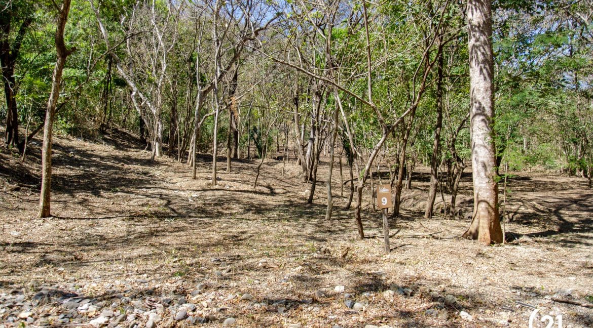 C21 Nosara Lote 9 Finca Montaña Ostional-08