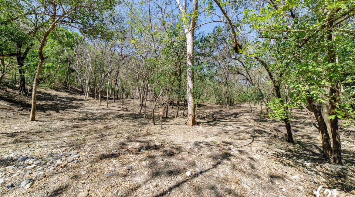 C21 Nosara Lote 9 Finca Montaña Ostional-10