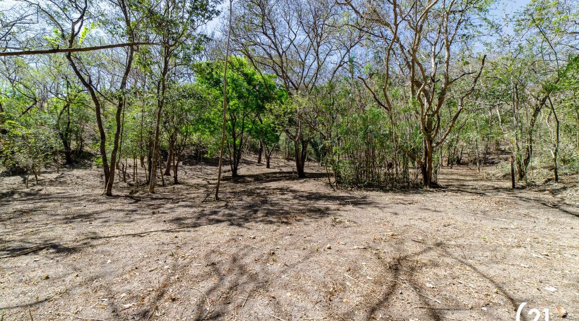 C21 Nosara Lote 9 Finca Montaña Ostional-13