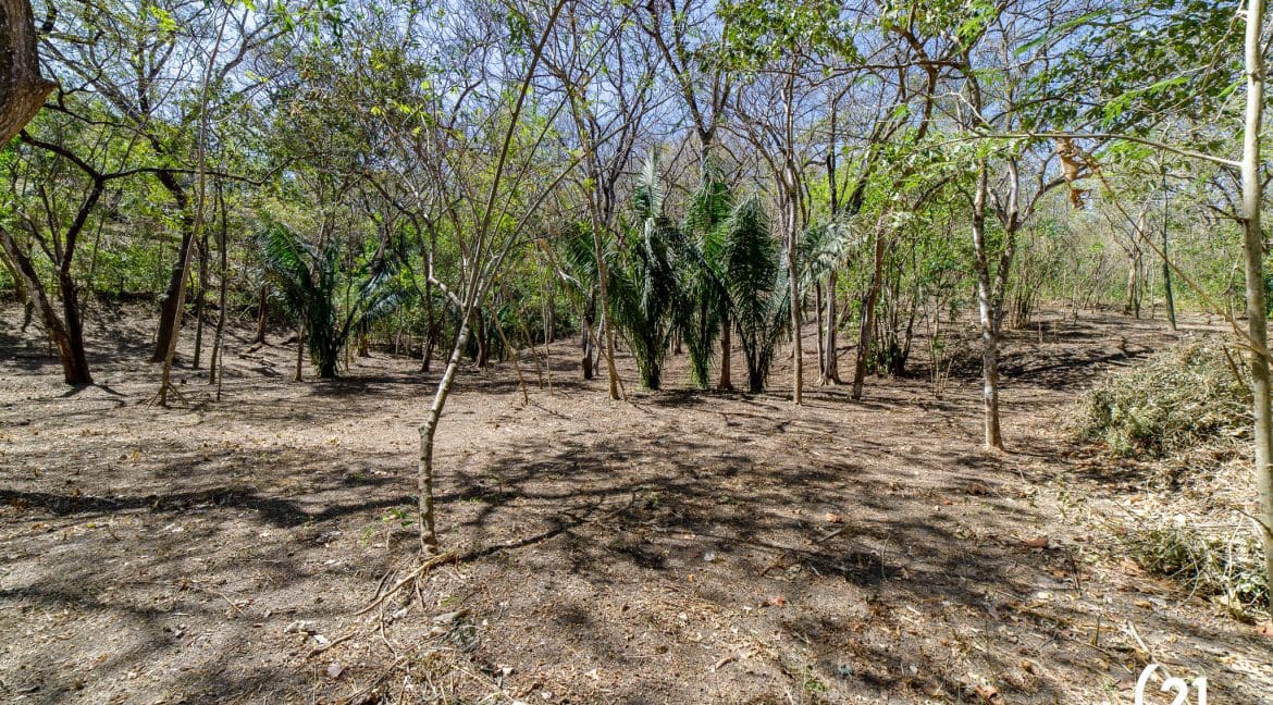 C21 Nosara Lote 9 Finca Montaña Ostional-15