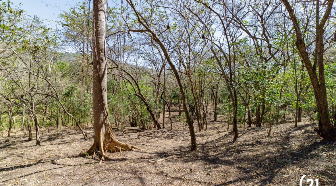 C21 Nosara Lote 9 Finca Montaña Ostional-19