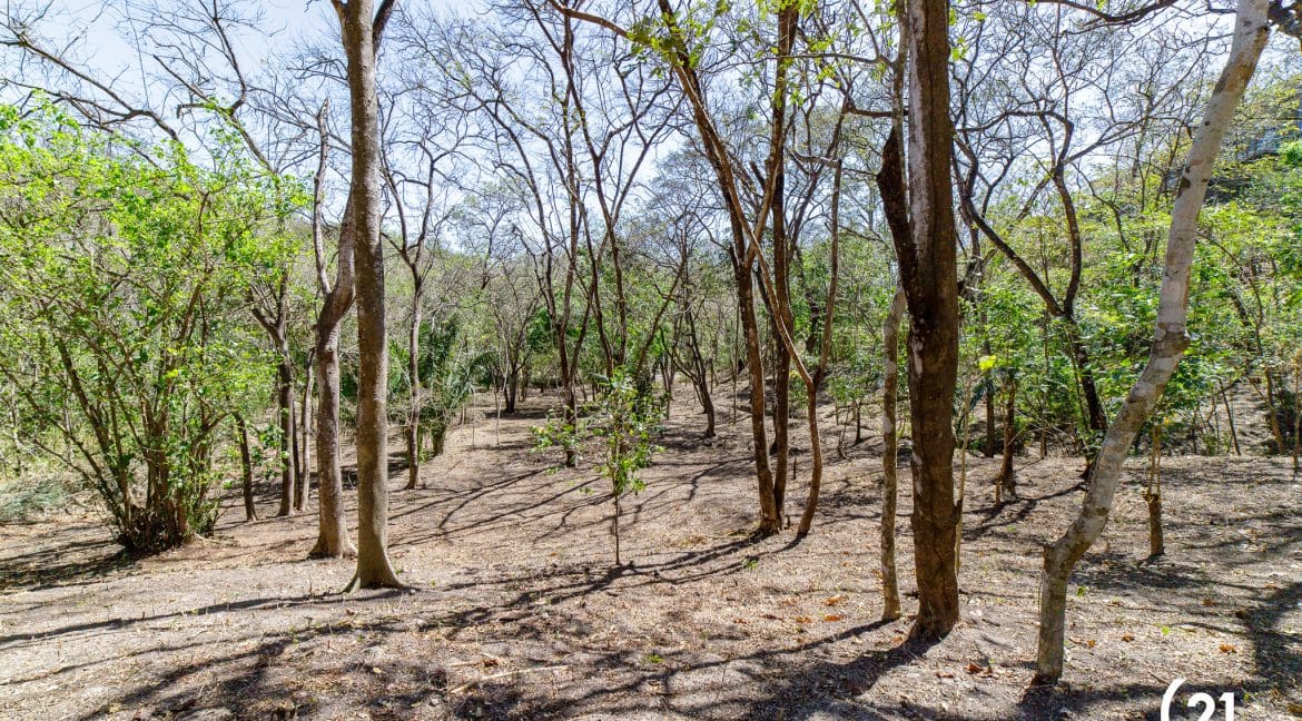 C21 Nosara Lote 9 Finca Montaña Ostional-20