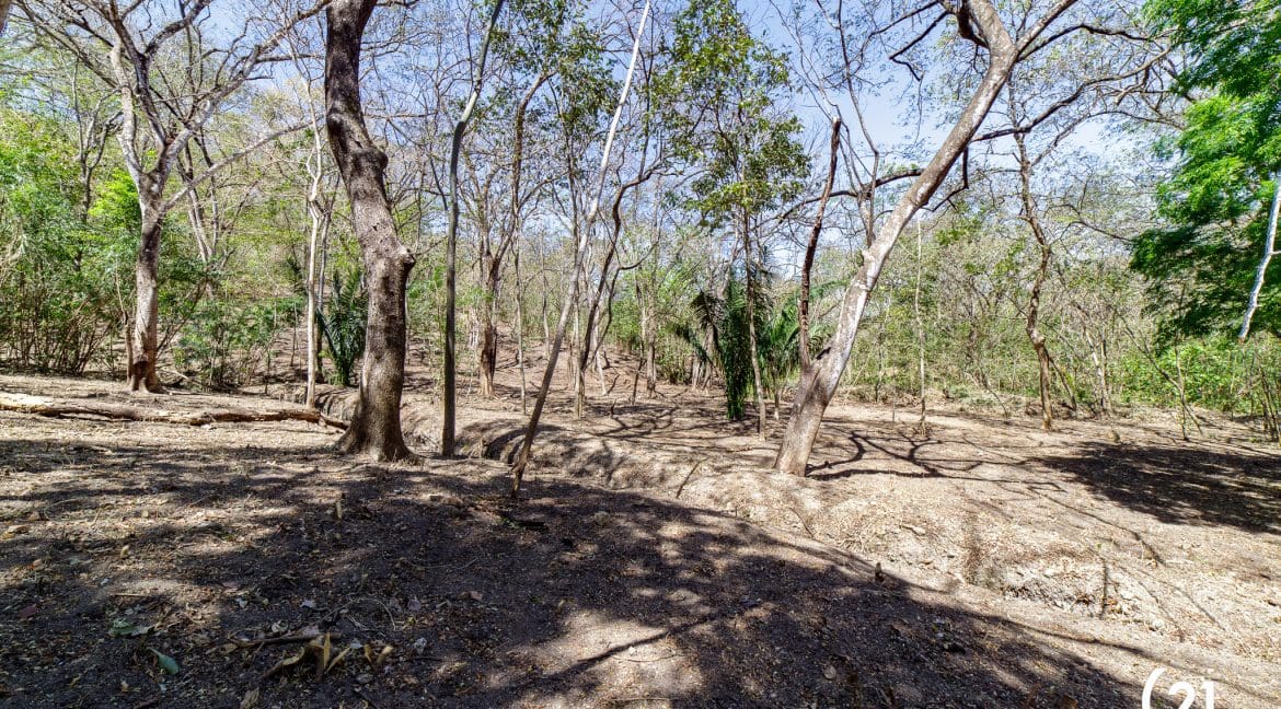 C21 Nosara Lote 9 Finca Montaña Ostional-23