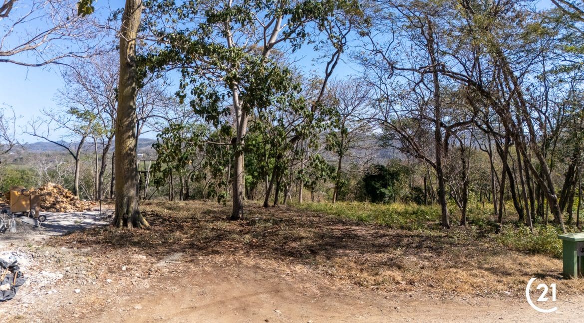 C21 Nosara Lot Playa Pelada