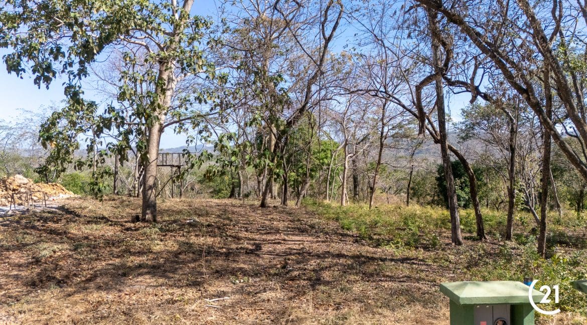 C21 Nosara Lot Playa Pelada-2