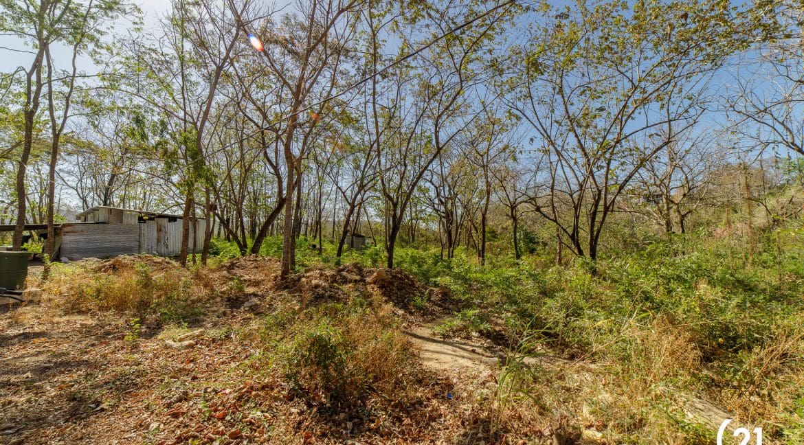 C21 Nosara Lote 3 Pelada-1