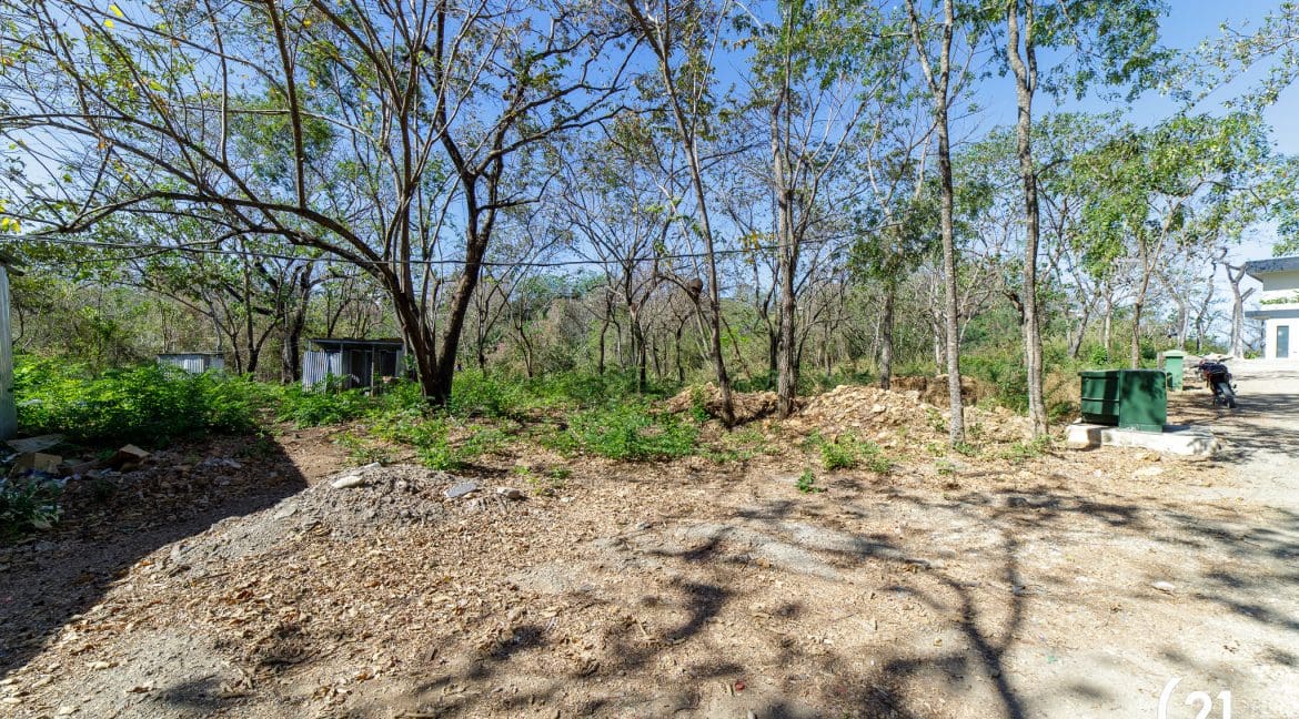 C21 Nosara Lote 3 Pelada-3