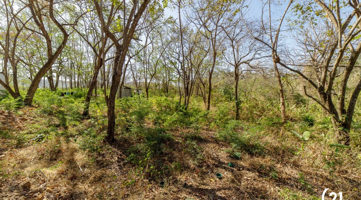 C21 Nosara Lote 3 Pelada-7