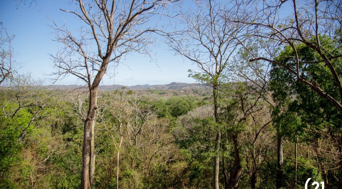 C21 Nosara Lote 7 Playa Pelada-14