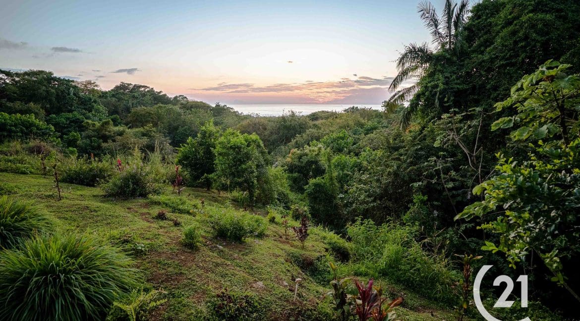 Paradise Point-Century 21-Nosara-Allan Monestel-Real Estate-Agent-Nosara-Playa Guiones-Playa Pelada-Guanacaste-Costa Rica-Bienes Raices- Real Estate- For Sale-11