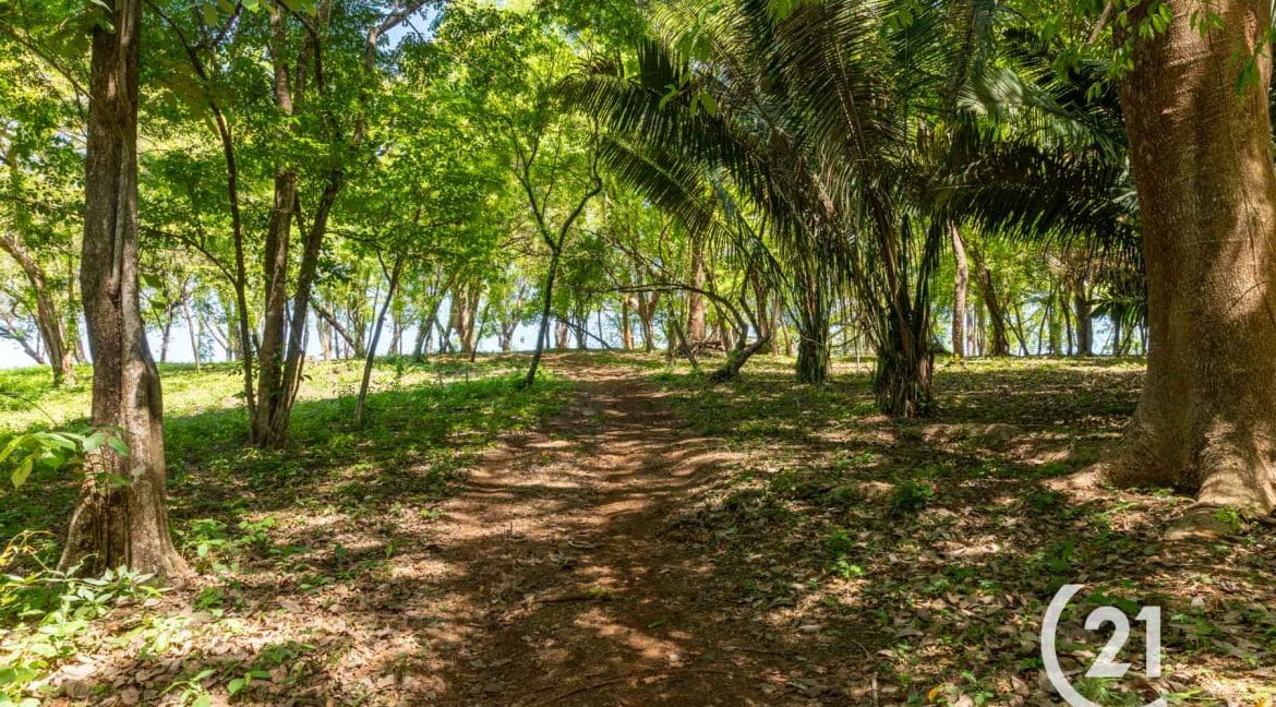 Finca Alucinante Beachfront-Century 21-Nosara-Allan Monestel-Real Estate-Agent-Nosara-Playa Guiones-Playa Pelada-Guanacaste-Costa Rica-Bienes Raices- Real Estate- For Sale-10