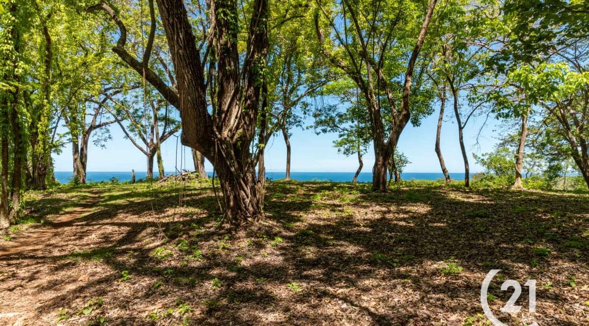 Finca Alucinante Beachfront-Century 21-Nosara-Allan Monestel-Real Estate-Agent-Nosara-Playa Guiones-Playa Pelada-Guanacaste-Costa Rica-Bienes Raices- Real Estate- For Sale-11